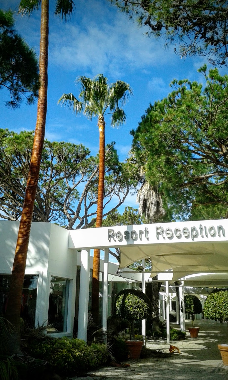 Pest control project 6